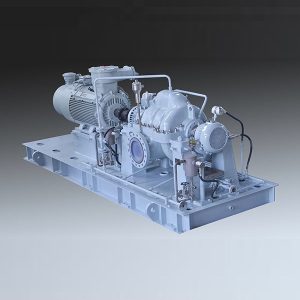 Axial geteilte Kreiselpumpe