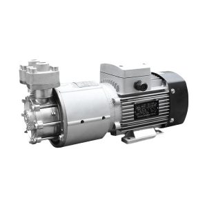 Magnetische Wirbelpumpe