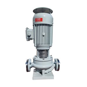 Marine-Edelstahl-Rohrleitungspumpe