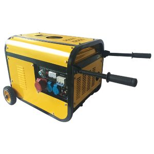 tragbarer Gasgenerator