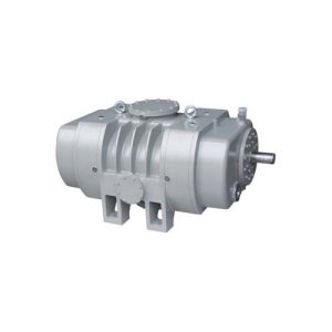 Gasgekühlte Roots-Vakuumpumpe